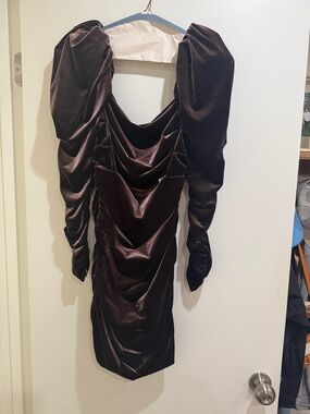 Women’s Eggplant Velvet Ruched Dress with Statement Sleeves